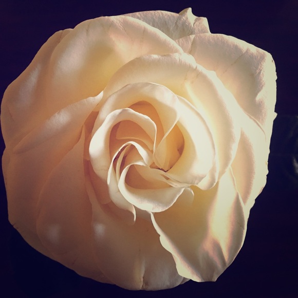 Meet your Posher, Gladys - Picture 1 of 1